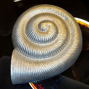 Silver Shell